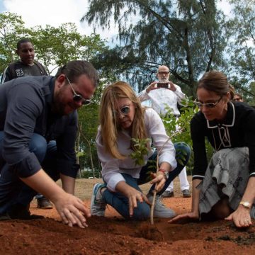 Develizan tarja y siembran árboles en el Mirador Sur en honor a Orlando Jorge Mera