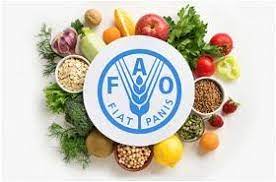 FAO dice RD redujo nivel de hambre en últimos dos años