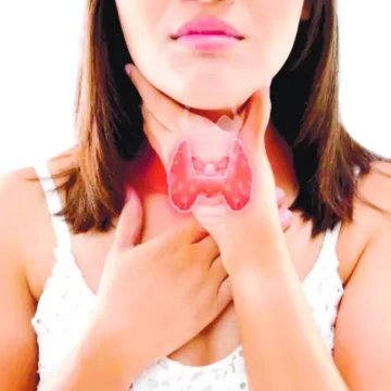 Mitos y realidades de la glándula tiroides, un órgano no tan culpable