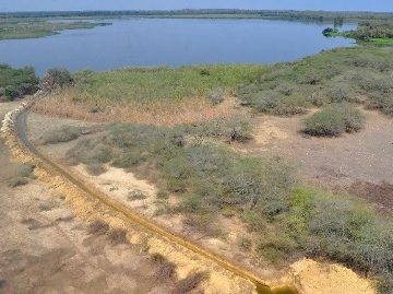 Academia de Ciencias alerta de daños irrecuperables por construcción muro feronterizo