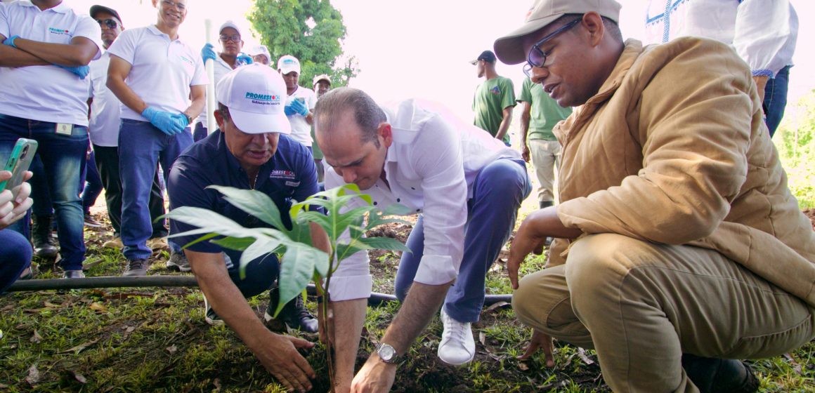 PROMESE/CAL realiza jornada de reforestación en coordinación con el Ministerio de Medio Ambiente