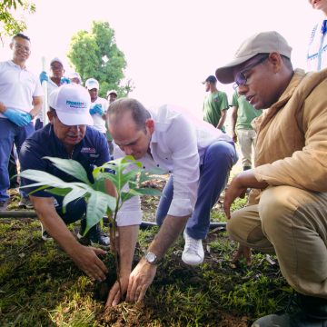 PROMESE/CAL realiza jornada de reforestación en coordinación con el Ministerio de Medio Ambiente