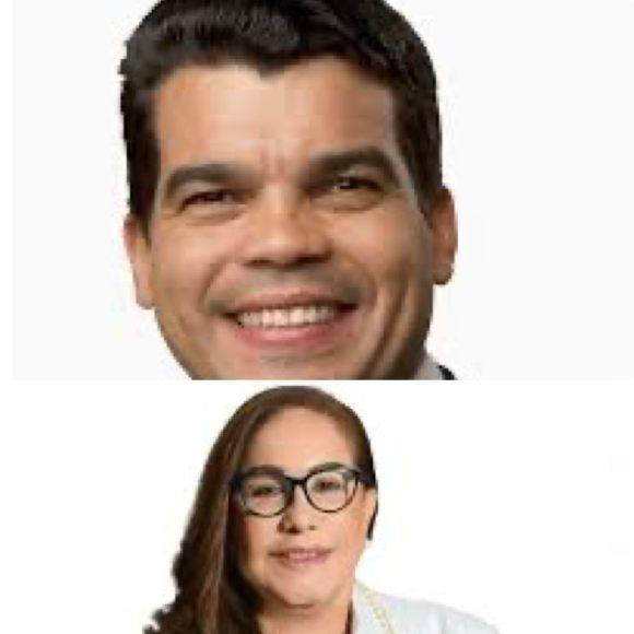 Rosa Santos: «Si la convención fuera mañana, Wellington Arnaud ganaría la presidencia del PRM»