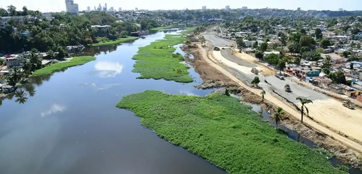 1-las-lilas-arropan-nuevamente-los-rios-ozama-e-isabela Lilas del Ozama: El verdor que evidencia nuestro mayor crimen ambiental