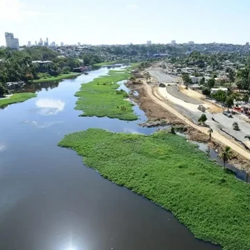 1-las-lilas-arropan-nuevamente-los-rios-ozama-e-isabela Lilas del Ozama: El verdor que evidencia nuestro mayor crimen ambiental