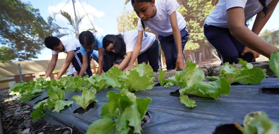 Huertos escolares del INABIE promueven conciencia ambiental y alimentaria en estudiantes