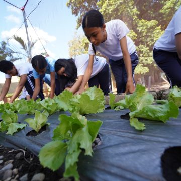 6e629740-f464-46ba-8188-51765a3e8cdf Huertos escolares del INABIE promueven conciencia ambiental y alimentaria en estudiantes