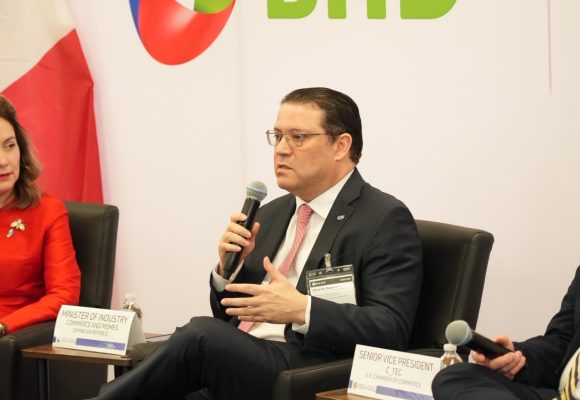 e1c34701-507b-47ae-95ad-c0c024ff710c Yayo Sanz Lovatón destaca ante la OEA en Washington el potencial de la IA para las mipymes